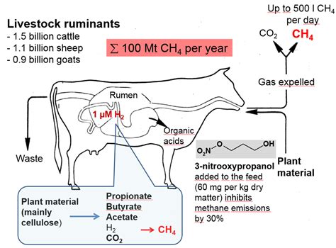 Mode Of Action Uncovered For The Specific Reduction Of Methane