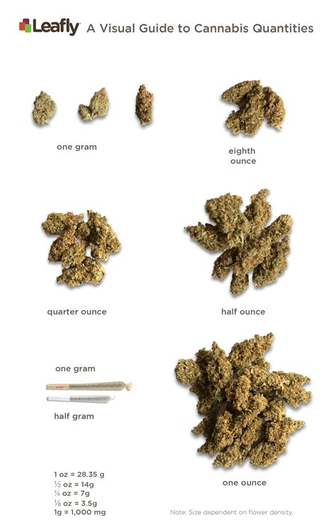 Convert 8 oz to g. Visual guide to cannabis quantities | By ounce & gram | Leafly