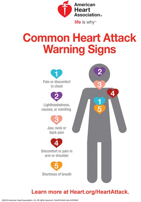 Heart Attack Symptoms And Emergency Care