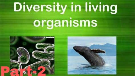 Diversity In Living Organisms Part 2 Level Of Classification Chapter 7