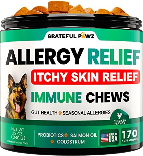 Top 10 Best Dog Allergy Medicine Review And Buying Guide In 2022