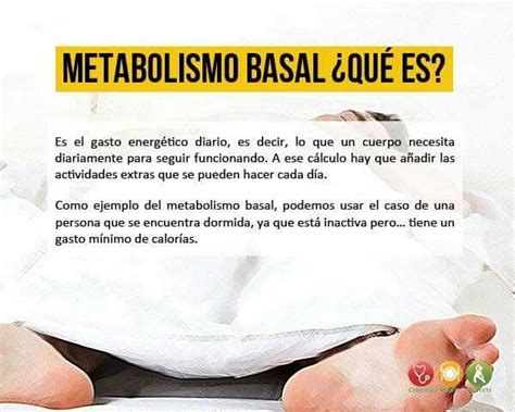 Metabolismo Basal Qué es y cómo mejorarlo