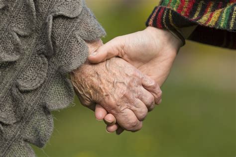 Holding hands together - old and young, close-up outdoors. | Chicago ...
