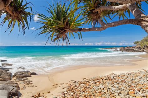 Catch up instantly on the best stories happening as they unfold. Coolum Classic Beach Shack - Pet Friendly - Walk to Beach ...