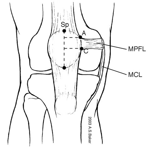 Knee Biomechanics Recon Orthobullets