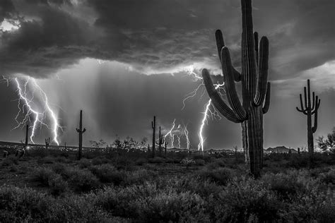 Southwestern Storm W Lightning Black And White Photograph