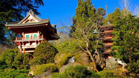 The japanese tea garden is open all year long, even on holidays. Japanese Tea Garden in San Francisco, California | Expedia