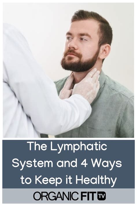 The Lymphatic System And 4 Ways To Keep It Healthy Holistic Approach
