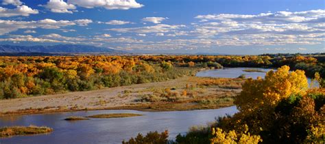 Fall Colors In New Mexico Foliage Byways And Wildlife