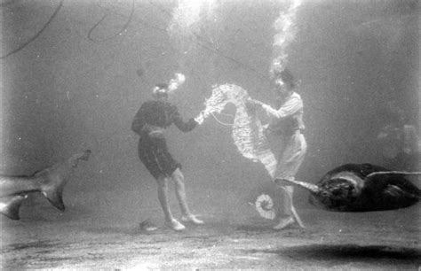 An Underwater Fashion Show C1947