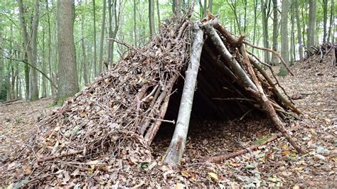 Bushcraft 101 How To Build A Survival Shelter In The Wilderness