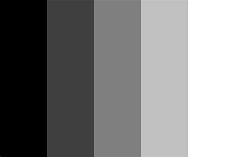 50 45 Shades Of Grey Color Palette