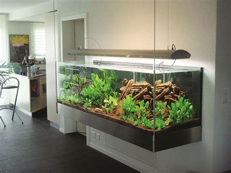 Decoomo Trends Home Decoration Ideas Fish Tank Terrarium Aquascape
