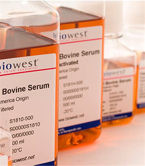 We did not find results for: Fetal Bovine Serum | Animal Serum | Cell Culture Medium ...
