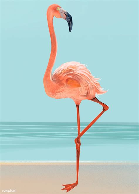 Pink Flamingo On A Beach Illustration Premium Image By