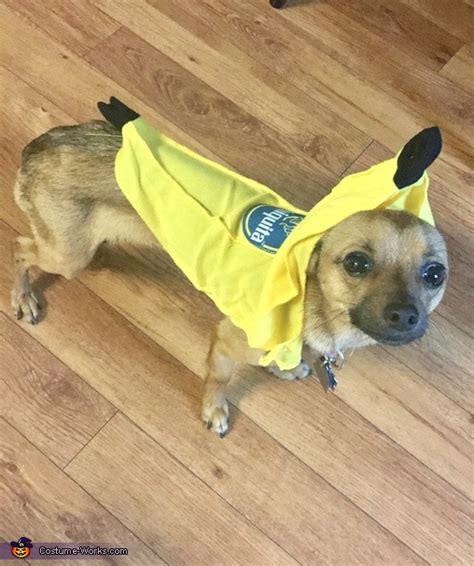 Calypso Queen And Chiquita Banana Dogs Costume Halloween Party