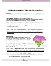 After students have completed making the cell parts and structured cards and reviewed their concept questions, ask students to share one concept question that was answered by the information from a. GIZMOSPollinationFlowerFruitSE (1) - Name Date Student Exploration Pollination Flower to Fruit ...