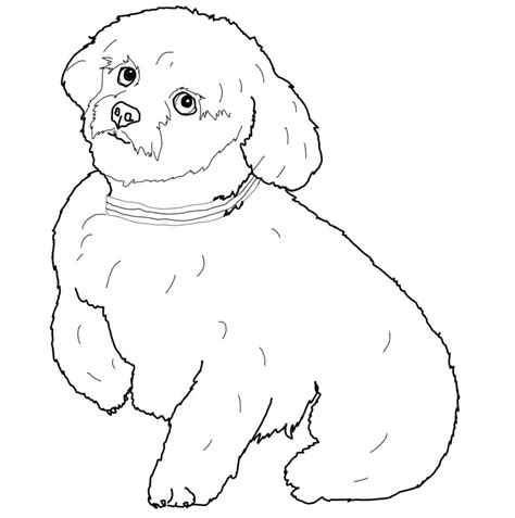 Free Printable Dog Coloring Pages Elimu Centre