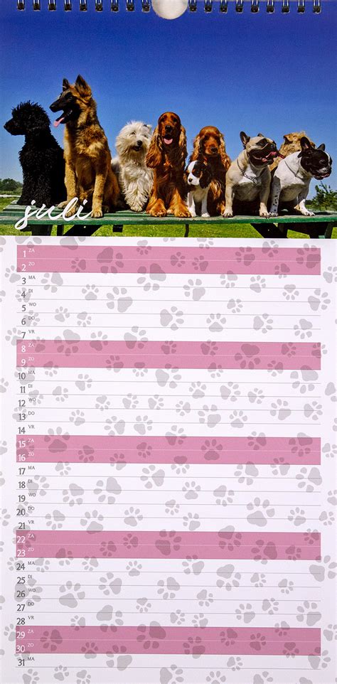 Kalender 2023 Honden Smal Maandkalenders Kalenders Overig