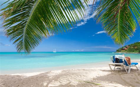 Beach Summer Tropical Sea Nature Landscape Caribbean Palm Trees Sand Clouds Vacations