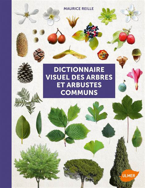 Le Livre Des Arbres Et Plantes Qui Restent à Découvrir - Dictionnaire visuel des arbres et arbustes communs | Editions Ulmer