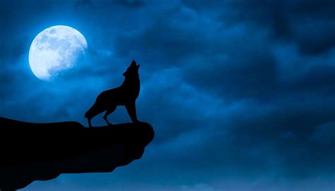 Dark Black Wolf Moon Wallpaper Hd Free Download Night Sky With Wolf