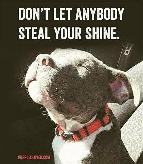 Dog Quotes Inspirational Quotes Inspiring Quotes About Life