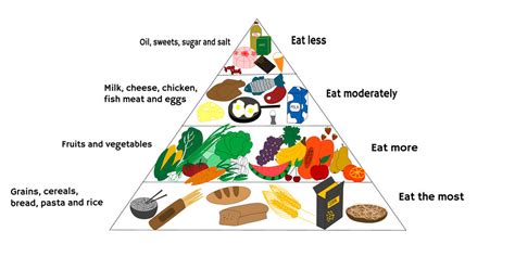 What Is The Keto Food Pyramid Approved Science Blog
