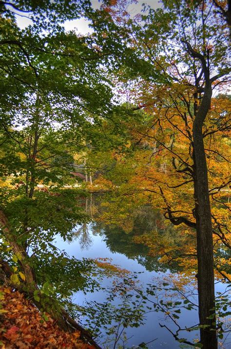 Fall Foliage4 Photograph By Deborah Ritch Fine Art America