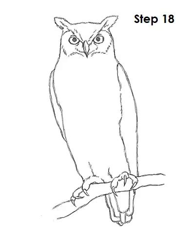 How To Draw An Owl Great Horned Video And Step By Step Pictures