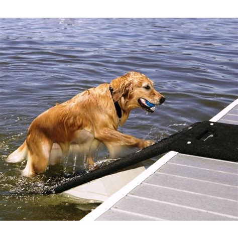 The Floating Dog Dock Hammacher Schlemmer