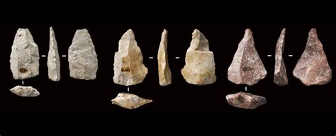 45000 Year Old Tools And Bones Reveal Earliest Evidence Of Homo