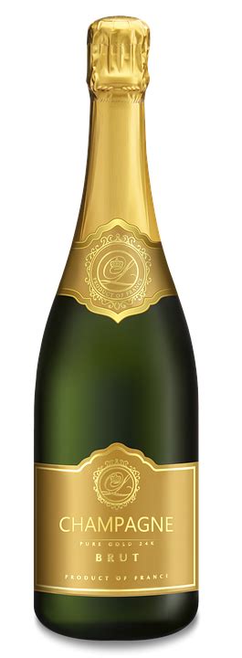 These free images are pixel perfect to fit your design and available in both png and vector. Illustration gratuite: Champagne, Bouteille De Champagne ...