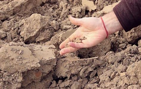 8 Common Soil Problems And How To Fix Them Defiel