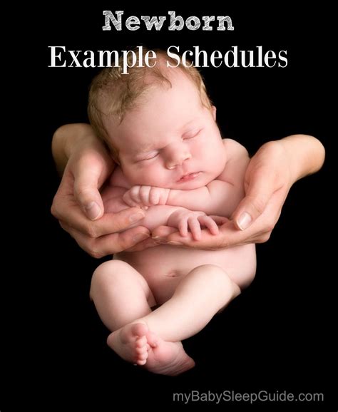 Newborn Sample Schedules ~ My Baby Sleep Guide Your Sleep Problems