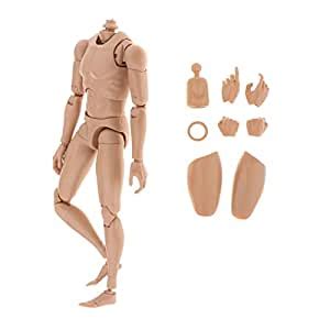 Buy FHS 1 6 Scale Moveable Joints Male Muscle Body For HT Dam Action