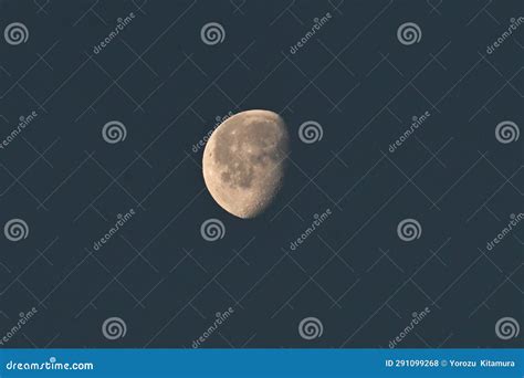 La Cara De La Luna Foto De Archivo Imagen De Ciencia 291099268