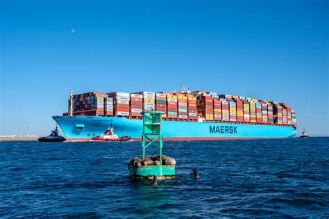 Maersk And Msc Ending 2m Alliance In 2025 Maritime