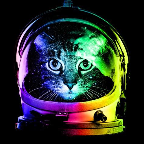 Astronaut Cat By Design By Humans On Deviantart Arte Con Gatos Gato
