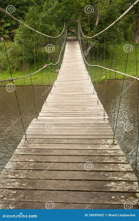 Wood Hanging Bridge In Forest Stock Photo Image Of Branch Leaf