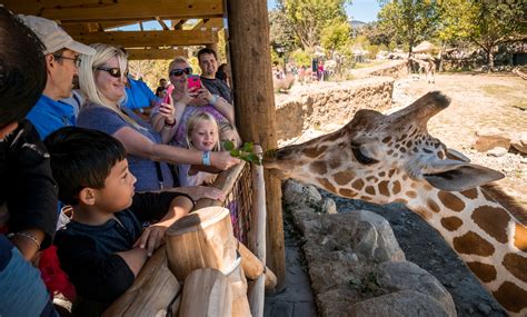 Omahas Henry Doorly Zoo And Aquarium® Offers Three New Behind The