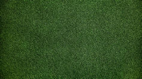 1600x900 Grass Background 1600x900 Resolution Hd 4k Wallpapers Images