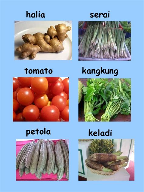Ada banyak sekali kosakata nama sayur. Sayur Sayuran Di Malaysia