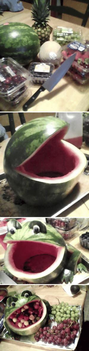 Cat Watermelon Helmet Meme Ash Cycles Ash Meme On Meme