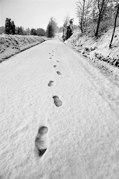 Footprints In The Snow Photograph By Michelle Shockley