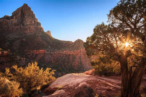 Sunset On The Watchman Zion National Park Utah Stock Image Image Of