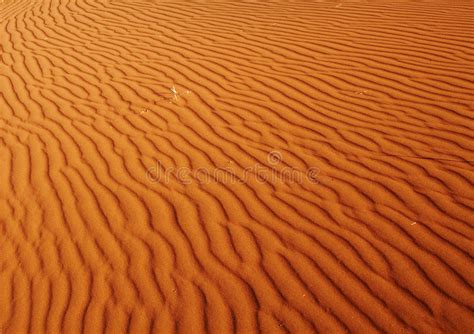 Namib Desert Stock Photo Image Of Heat Blue Namib Kalahari 3428732