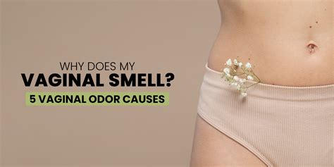 why does my vaginal smell causes of vaginal odor