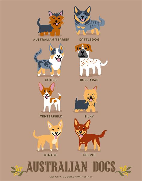 The Origins Of 200 Dog Breeds Explained In Adorable Posters Demilked
