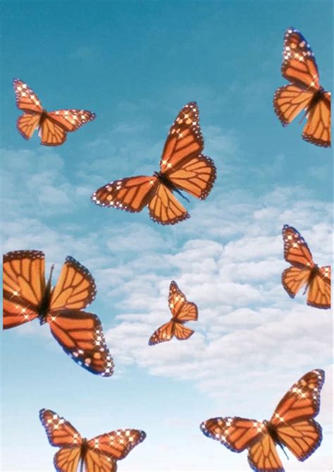 Butterfly Aesthetic Wallpapers For Laptop A Collection Of The Top 47